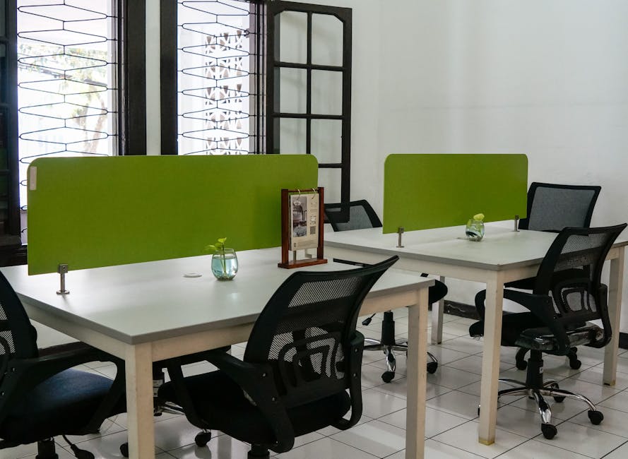 Neat and modern co-working office space featuring green dividers and ergonomic chairs.