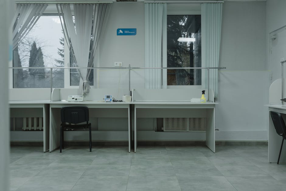A clean and organized office space with desks, chairs, and large windows providing natural light.